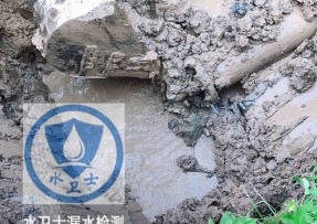 东宝区水管漏水检测公司5